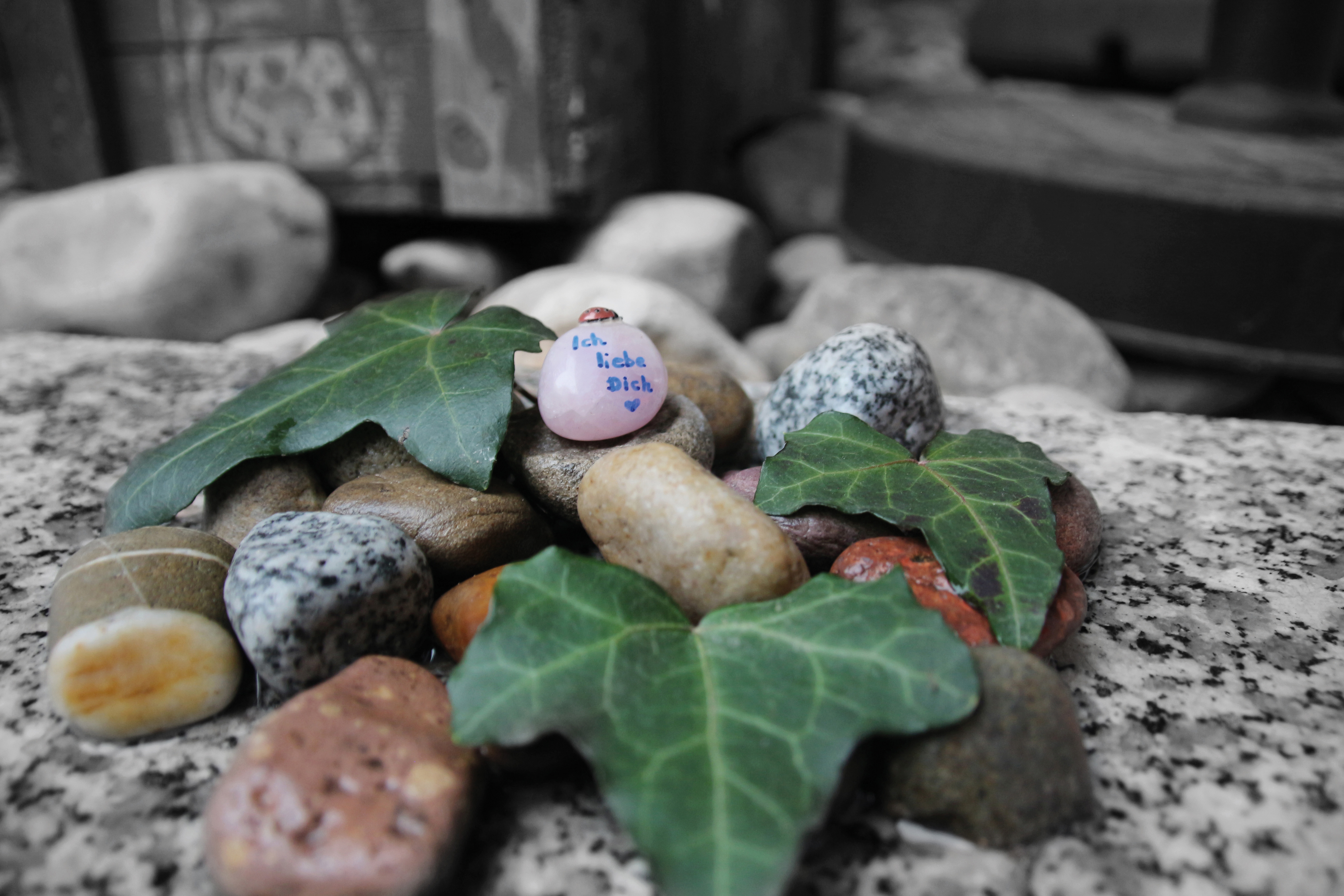 Stein: Ich Liebe Dich